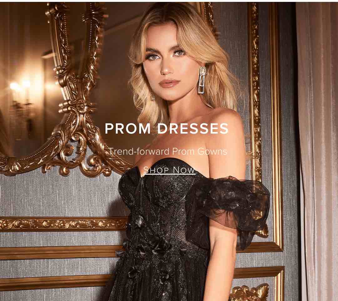 2024 Long Prom Dresses and Gowns for High School Balls, Formal & Graduation